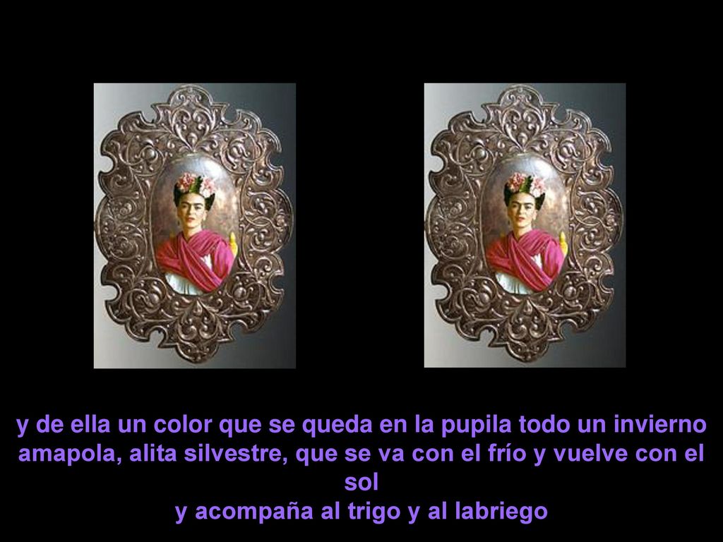 y de ella un color que se queda en la pupila todo un invierno amapola, alita silvestre, que se va con el frío y vuelve con el sol y acompaña al trigo y al labriego