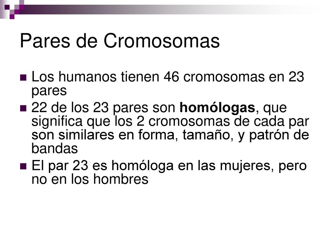 Pares de Cromosomas Los humanos tienen 46 cromosomas en 23 pares
