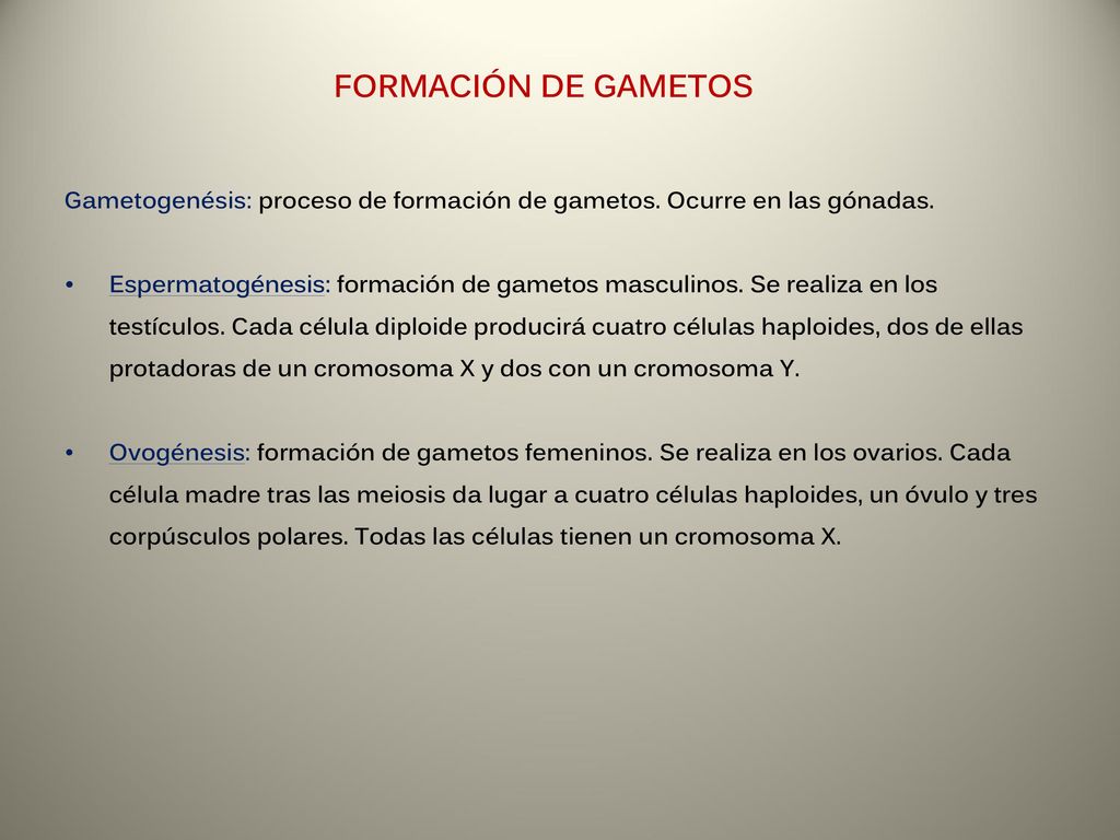 FORMACIÓN DE GAMETOS Gametogenésis: proceso de formación de gametos. Ocurre en las gónadas.