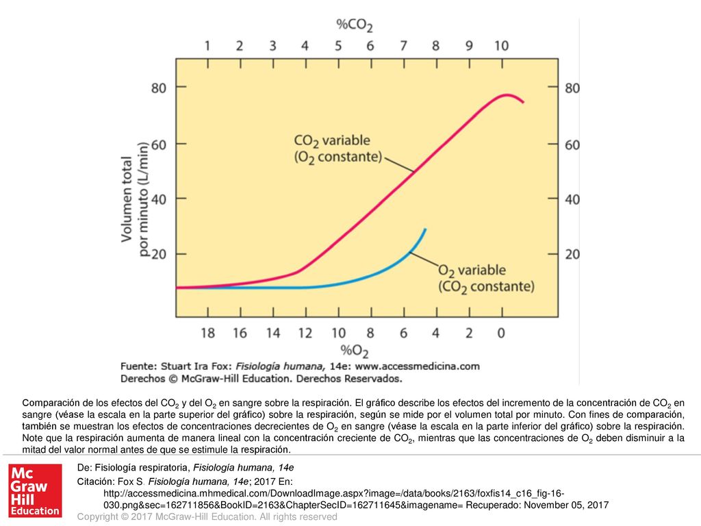 Comparación de los efectos del CO2 y del O2 en sangre sobre la respiración. El gráfico describe los efectos del incremento de la concentración de CO2 en sangre (véase la escala en la parte superior del gráfico) sobre la respiración, según se mide por el volumen total por minuto. Con fines de comparación, también se muestran los efectos de concentraciones decrecientes de O2 en sangre (véase la escala en la parte inferior del gráfico) sobre la respiración. Note que la respiración aumenta de manera lineal con la concentración creciente de CO2, mientras que las concentraciones de O2 deben disminuir a la mitad del valor normal antes de que se estimule la respiración.