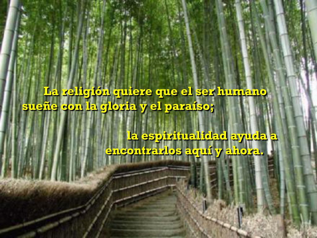 La religión quiere que el ser humano sueñe con la gloria y el paraíso;