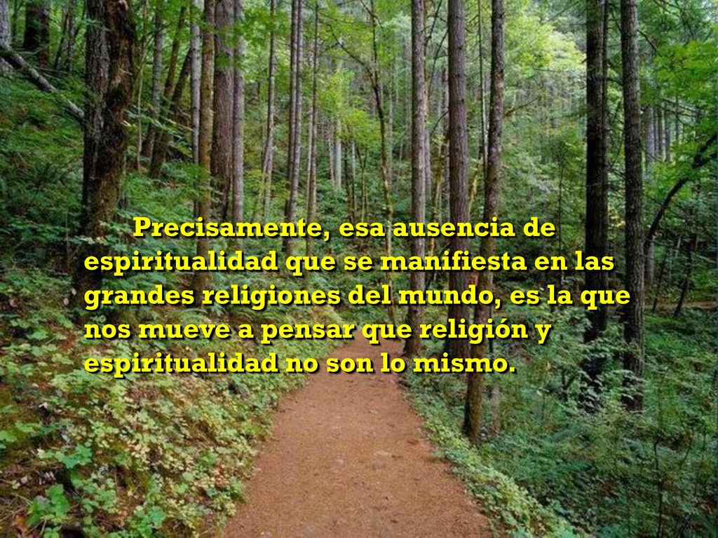 Precisamente, esa ausencia de espiritualidad que se manifiesta en las grandes religiones del mundo, es la que nos mueve a pensar que religión y espiritualidad no son lo mismo.