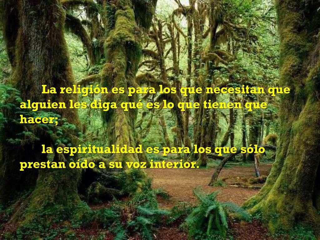La religión es para los que necesitan que alguien les diga qué es lo que tienen que hacer;
