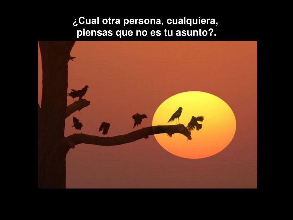 ¿Cual otra persona, cualquiera, piensas que no es tu asunto .