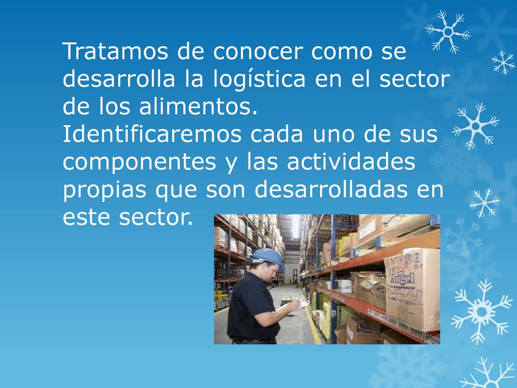 Tratamos de conocer como se desarrolla la logística en el sector de los alimentos.