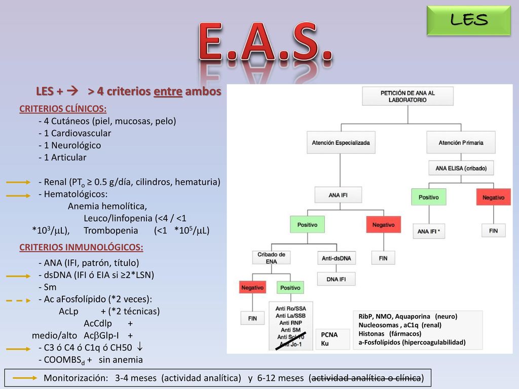 E.A.S. LES LES +  > 4 criterios entre ambos CRITERIOS CLÍNICOS: