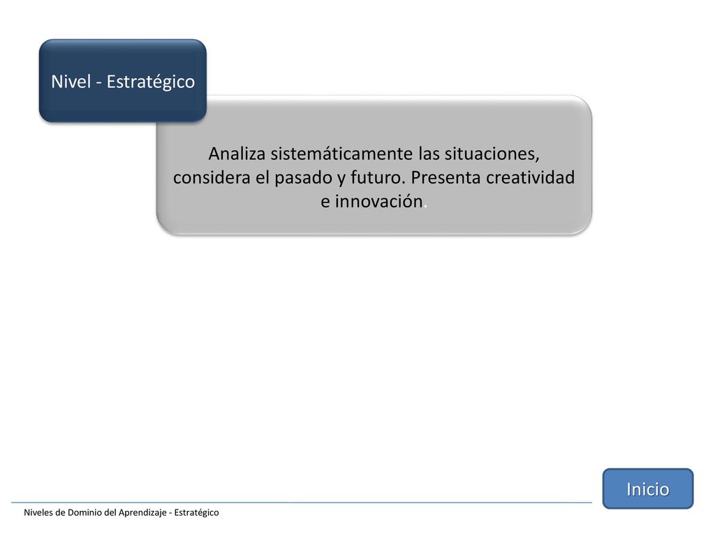 Nivel - Estratégico Analiza sistemáticamente las situaciones, considera el pasado y futuro. Presenta creatividad e innovación.