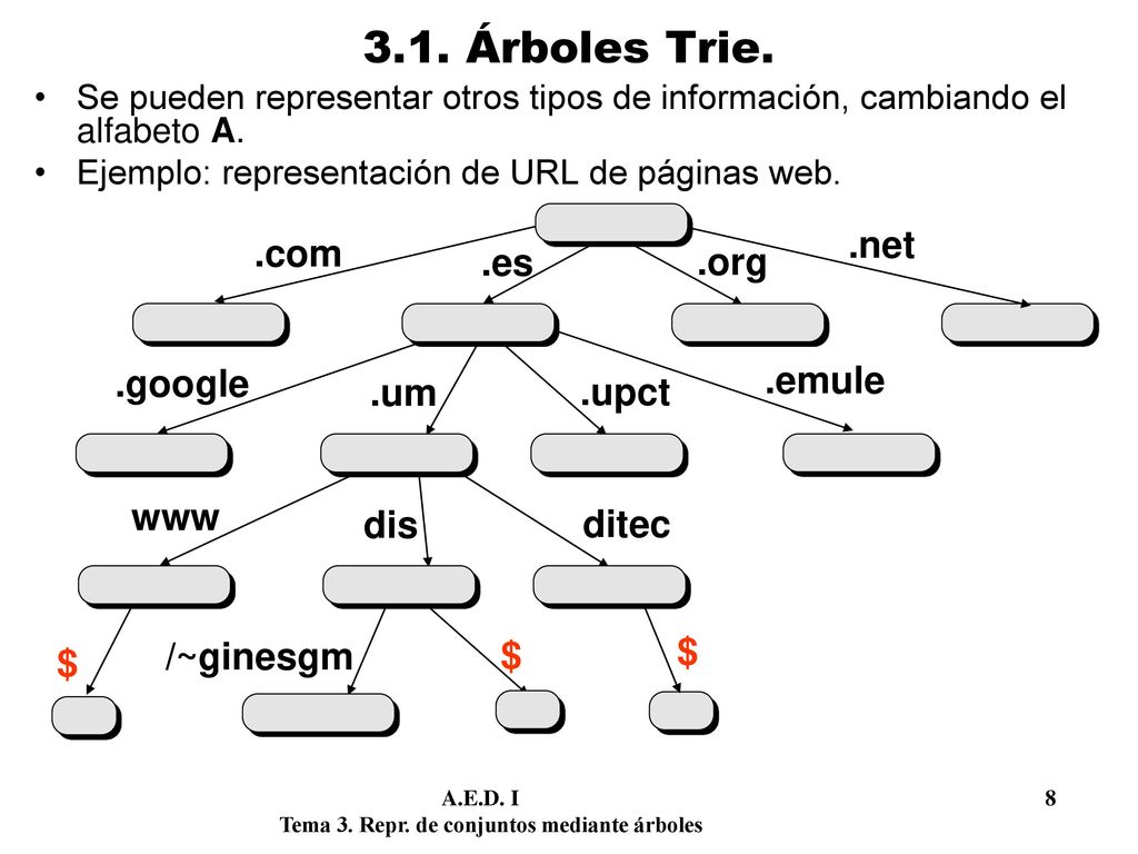3.1. Árboles Trie. .net .com .es .org .google .emule .um .upct www dis