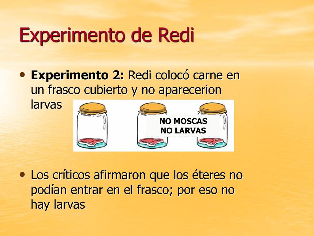 Experimento de Redi Experimento 2: Redi colocó carne en un frasco cubierto y no aparecerion larvas.