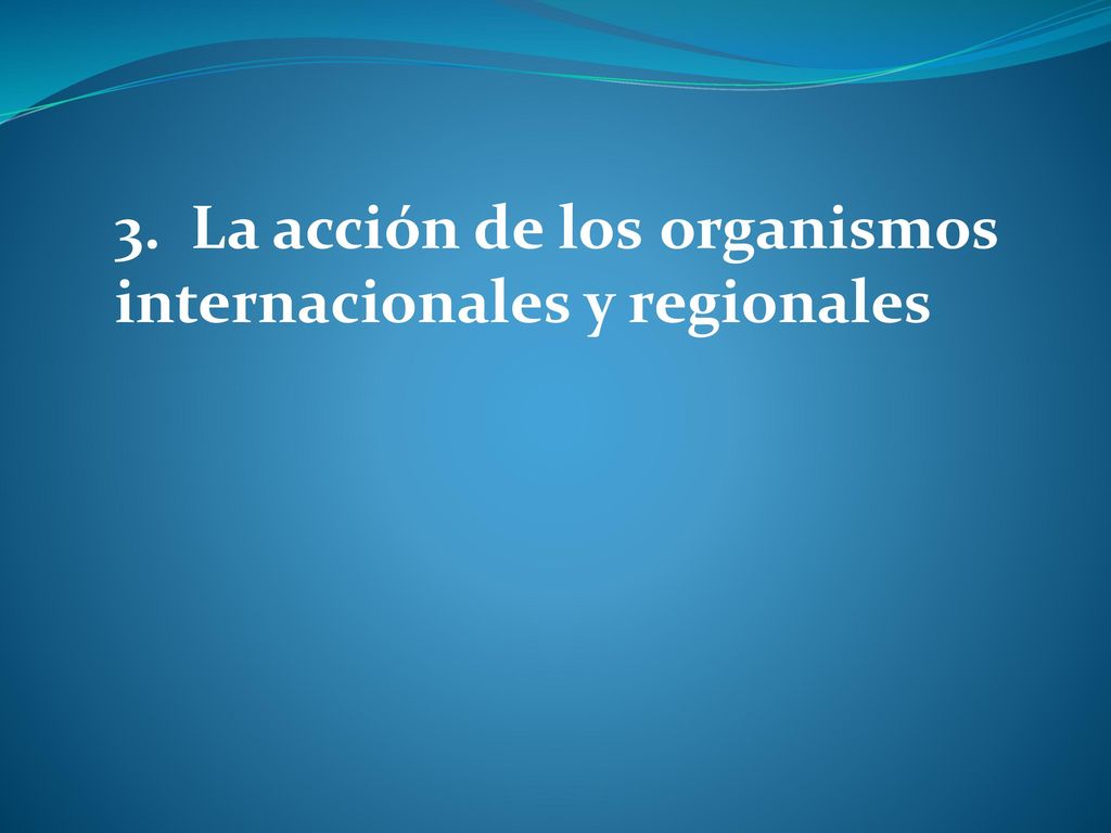 3. La acción de los organismos internacionales y regionales
