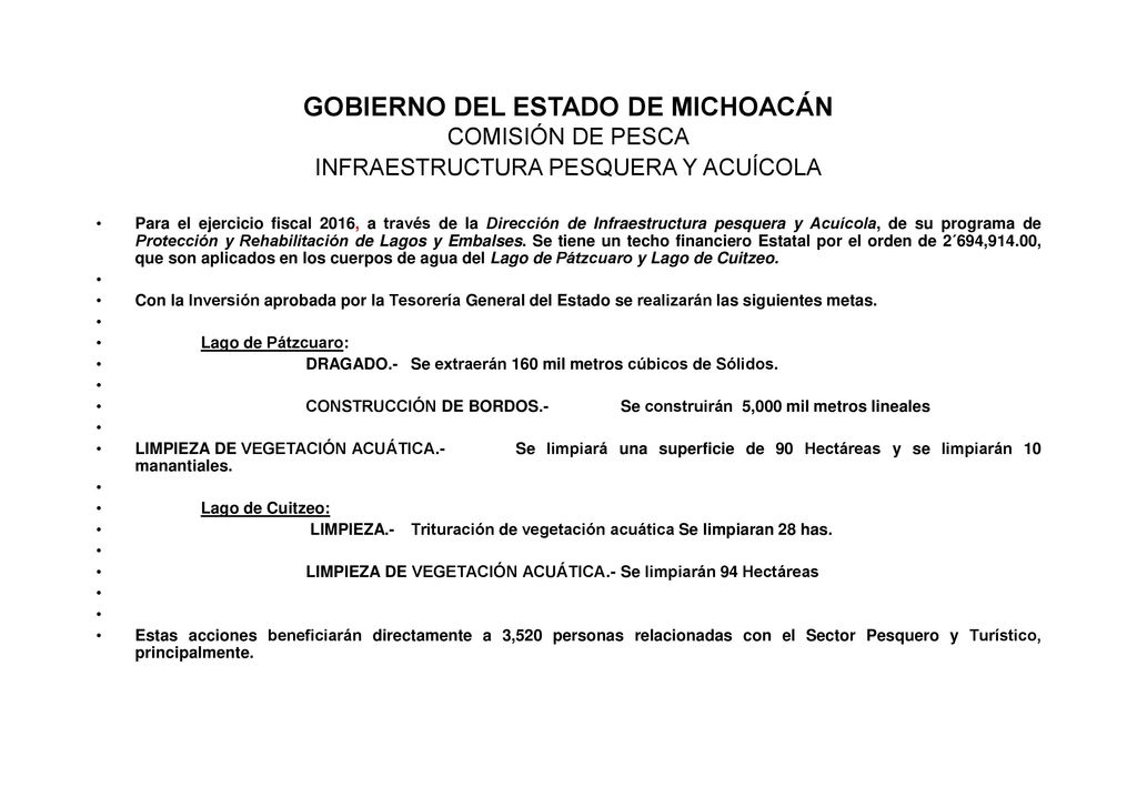 GOBIERNO DEL ESTADO DE MICHOACÁN COMISIÓN DE PESCA INFRAESTRUCTURA PESQUERA Y ACUÍCOLA