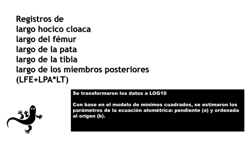 Registros de largo hocico cloaca largo del fémur largo de la pata largo de la tibia largo de los miembros posteriores (LFE+LPA*LT)