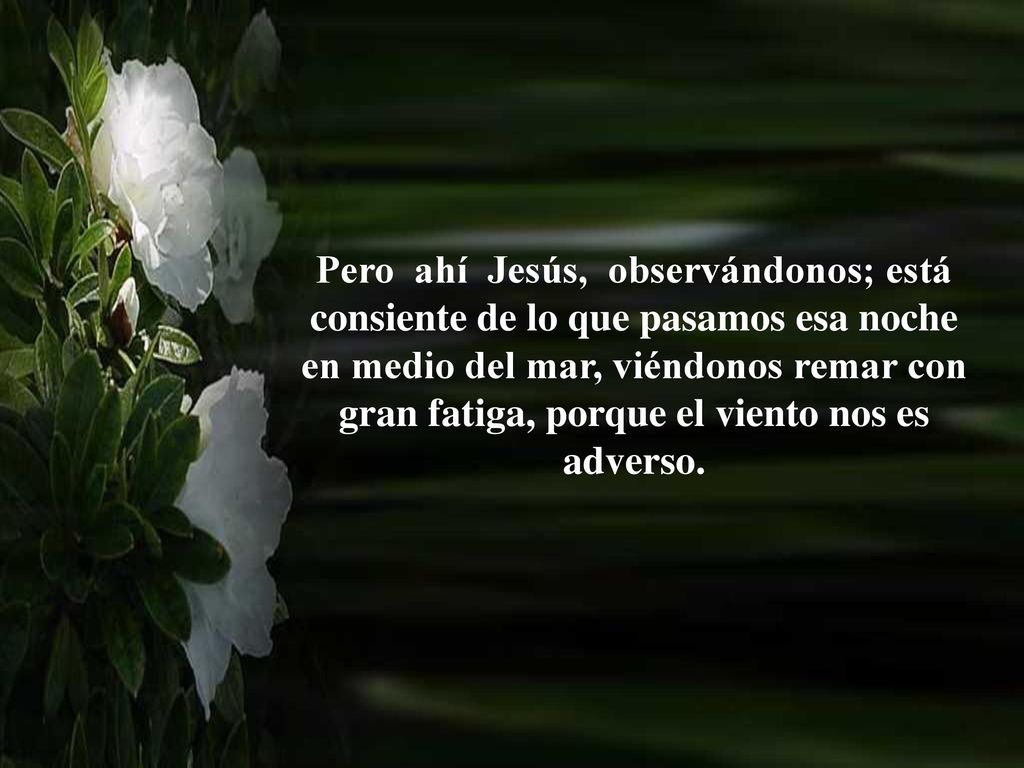 Pero ahí Jesús, observándonos; está consiente de lo que pasamos esa noche en medio del mar, viéndonos remar con gran fatiga, porque el viento nos es adverso.