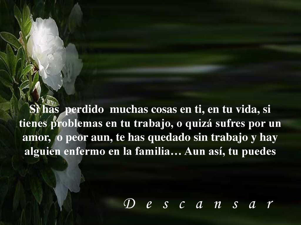 Si has perdido muchas cosas en ti, en tu vida, si tienes problemas en tu trabajo, o quizá sufres por un amor, o peor aun, te has quedado sin trabajo y hay alguien enfermo en la familia… Aun así, tu puedes