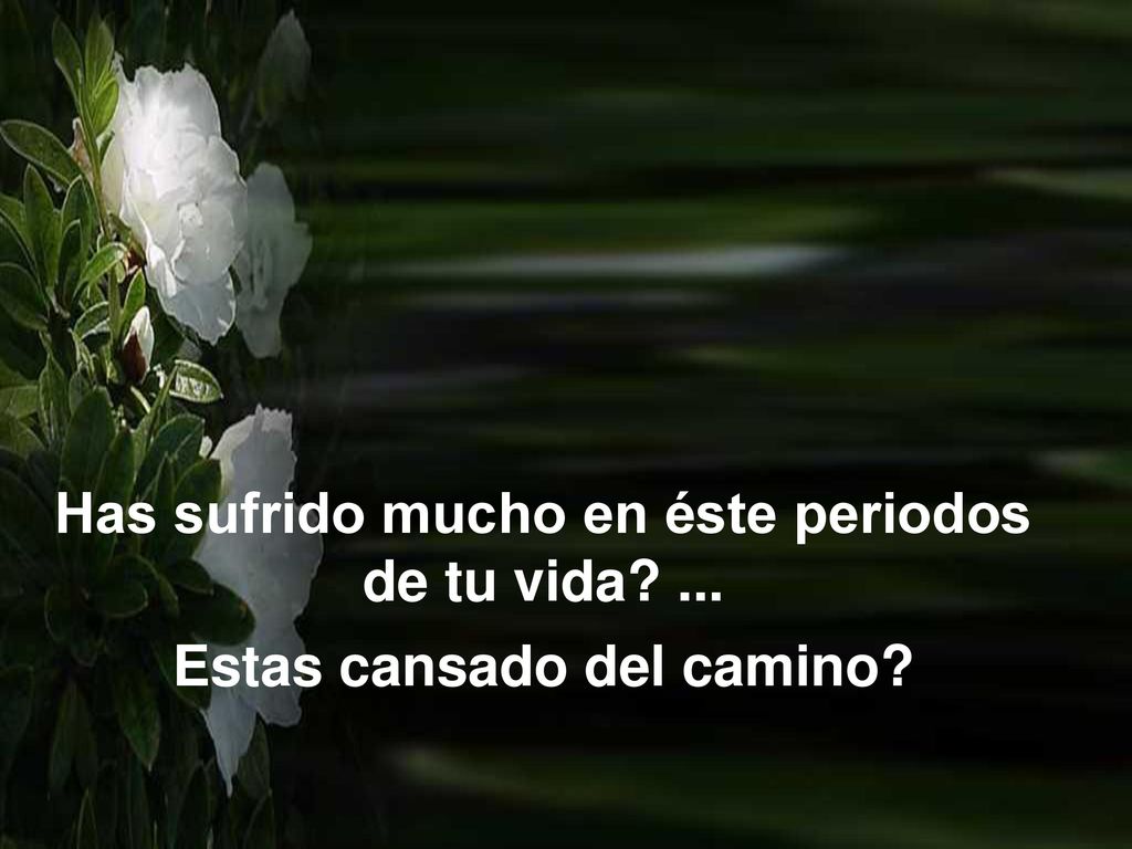 Has sufrido mucho en éste periodos de tu vida ...