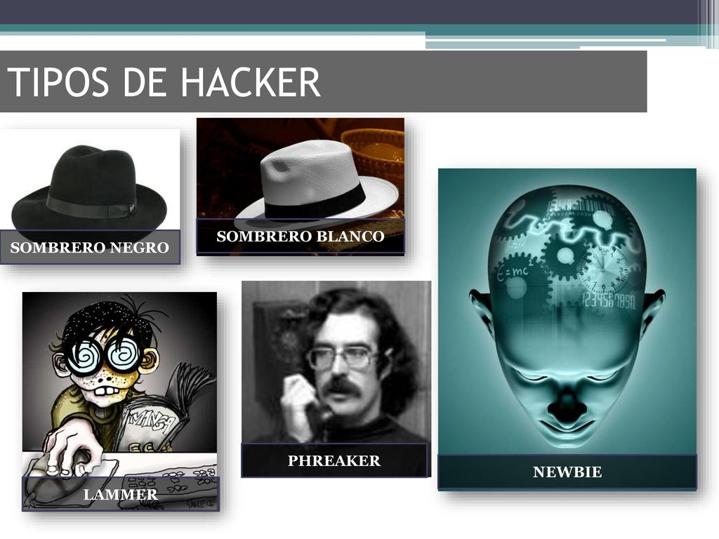 TIPOS DE HACKER SOMBRERO BLANCO SOMBRERO NEGRO PHREAKER NEWBIE LAMMER