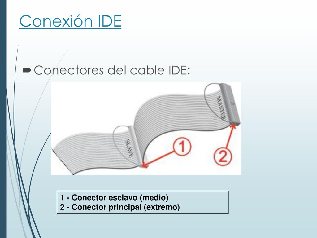 Conexión IDE Conectores del cable IDE: 1 - Conector esclavo (medio)