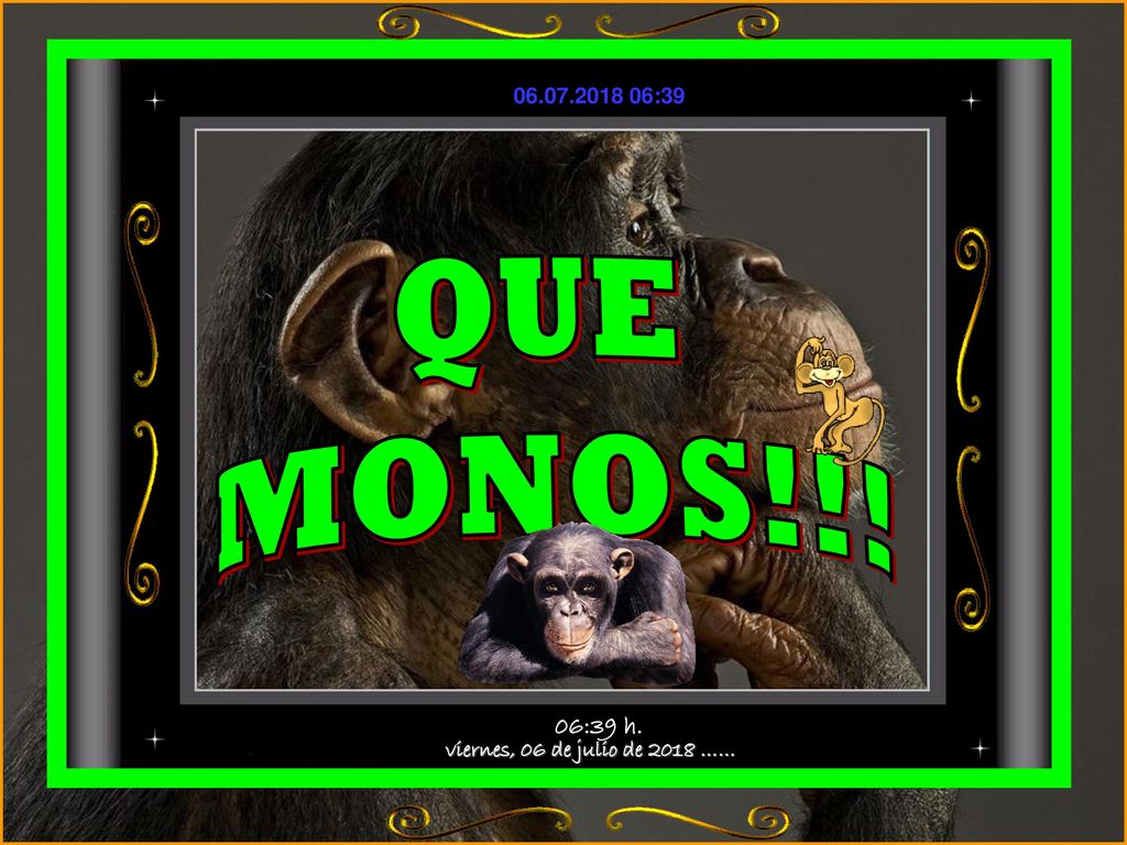 :38 QUE MONOS!!! 06:38 h. viernes, 06 de julio de 2018 ……