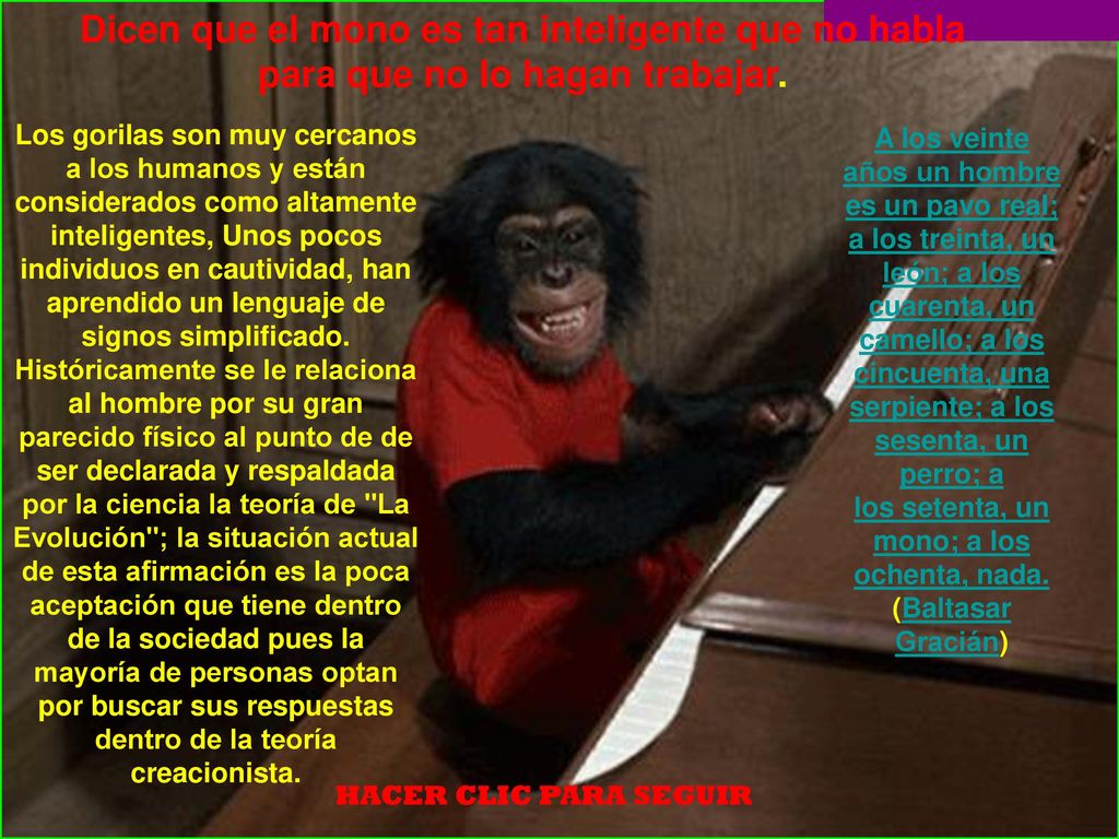 los setenta, un mono; a los ochenta, nada. (Baltasar Gracián)