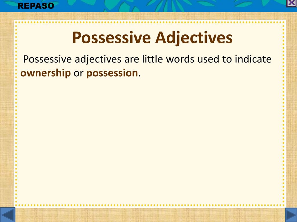 Possessive Adjectives