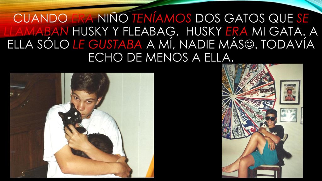 Cuando era niño teníamos dos gatos que se llamaban Husky y fleabag