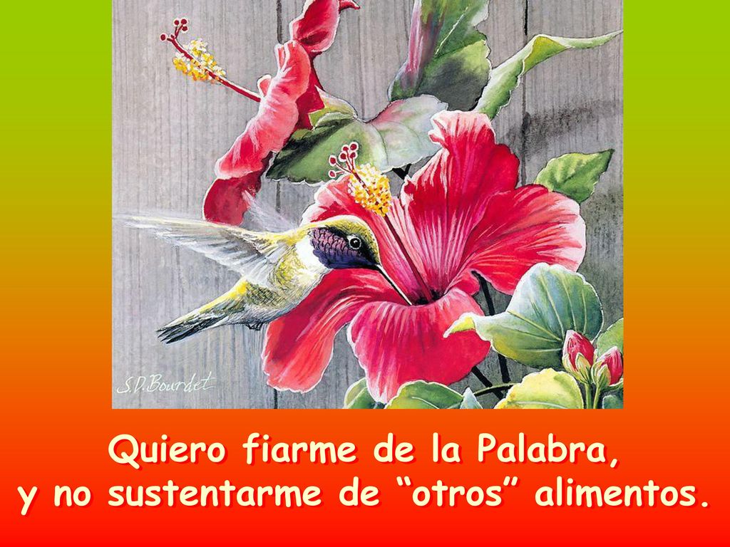 Quiero fiarme de la Palabra, y no sustentarme de otros alimentos.
