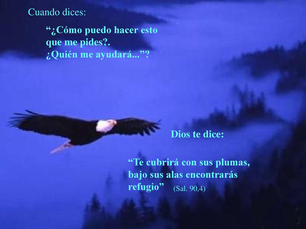 ¿Cómo puedo hacer esto que me pides . ¿Quién me ayudará...
