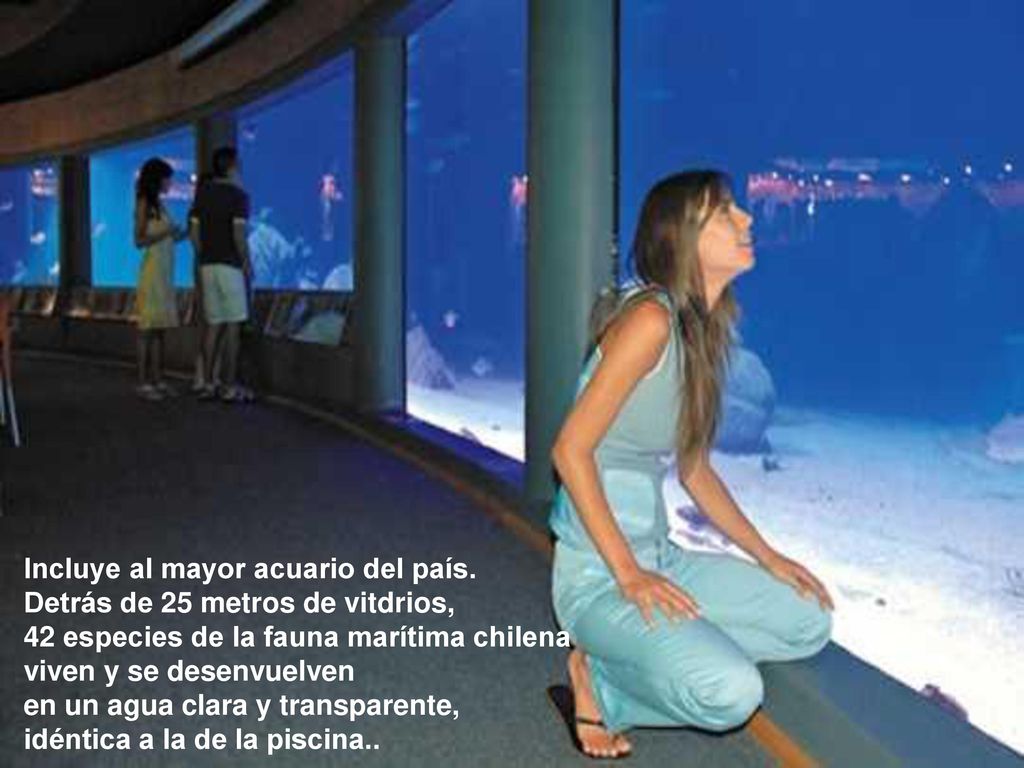 Incluye al mayor acuario del país. Detrás de 25 metros de vitdrios,