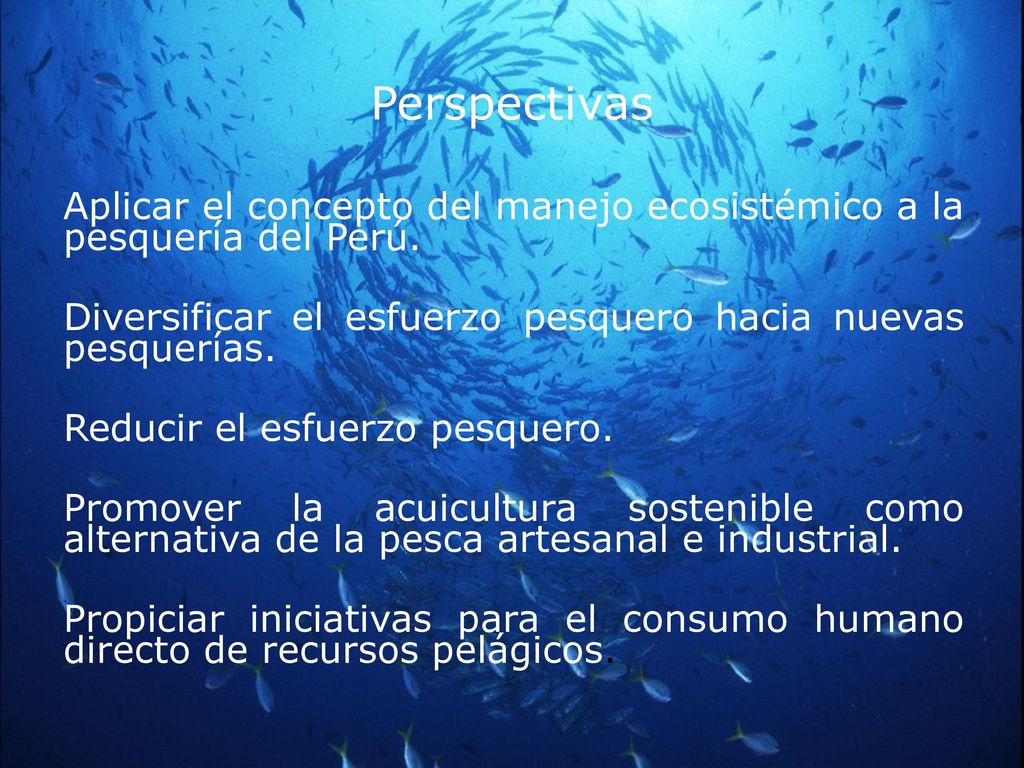 Perspectivas Aplicar el concepto del manejo ecosistémico a la pesquería del Perú. Diversificar el esfuerzo pesquero hacia nuevas pesquerías.