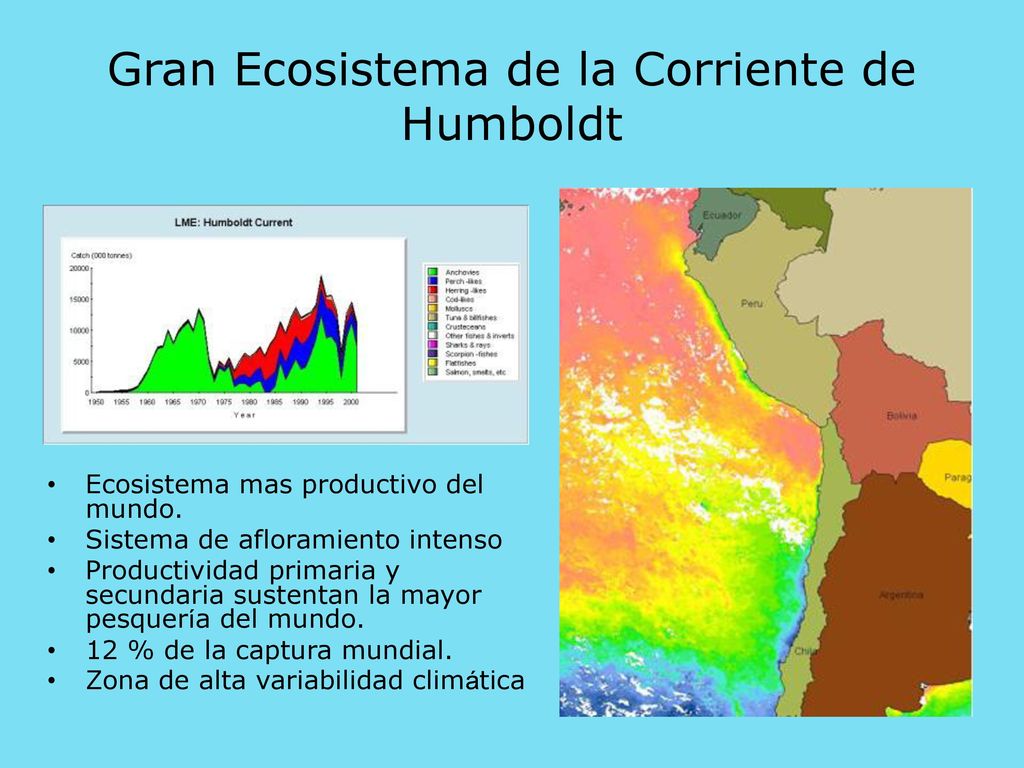 Gran Ecosistema de la Corriente de Humboldt