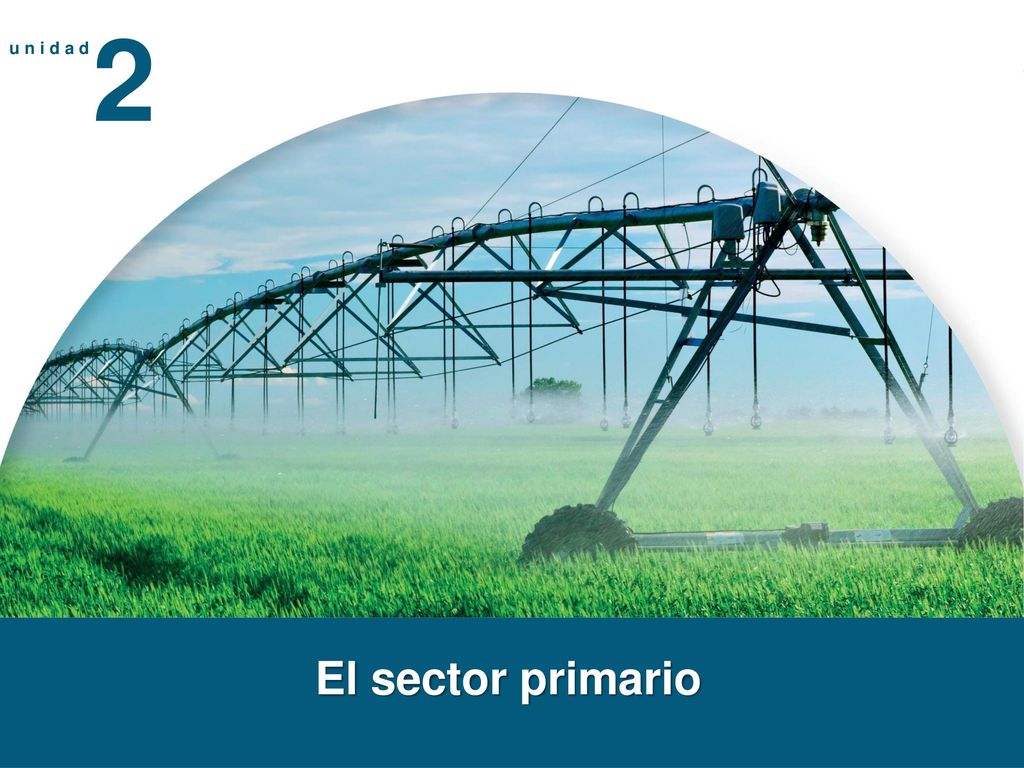 u n i d a d 2 El sector primario