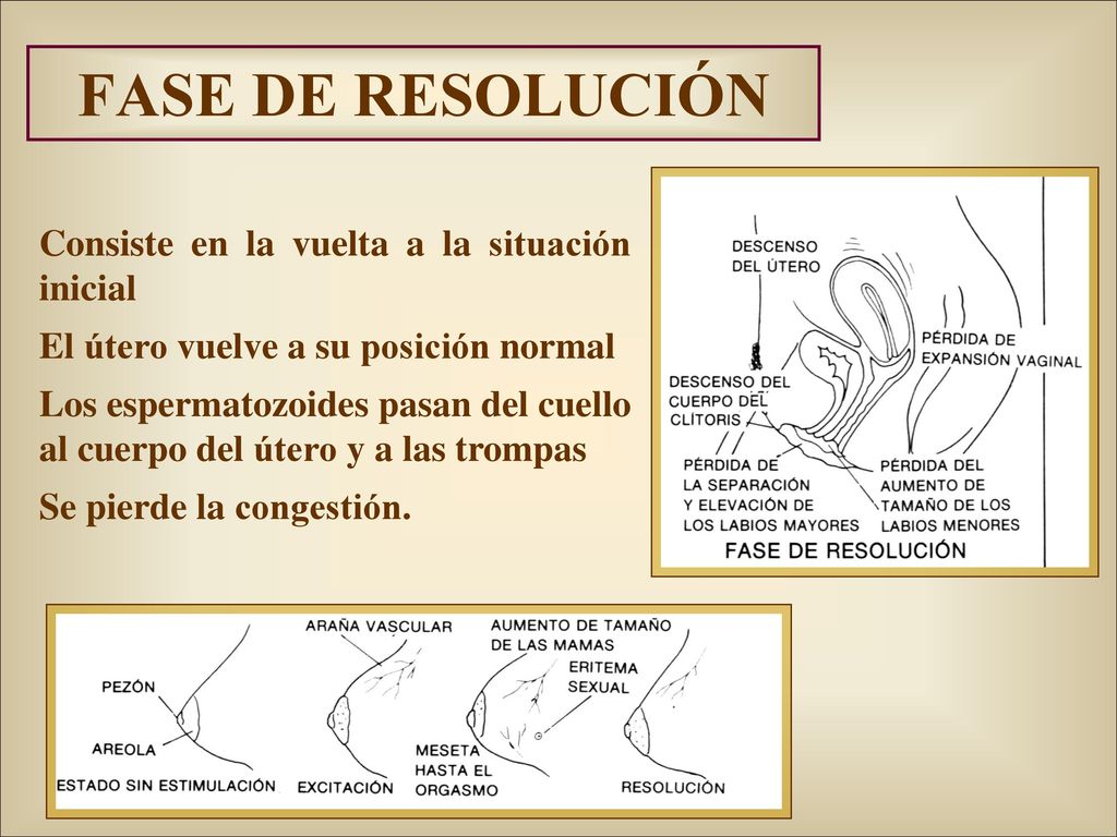 FASE DE RESOLUCIÓN Consiste en la vuelta a la situación inicial