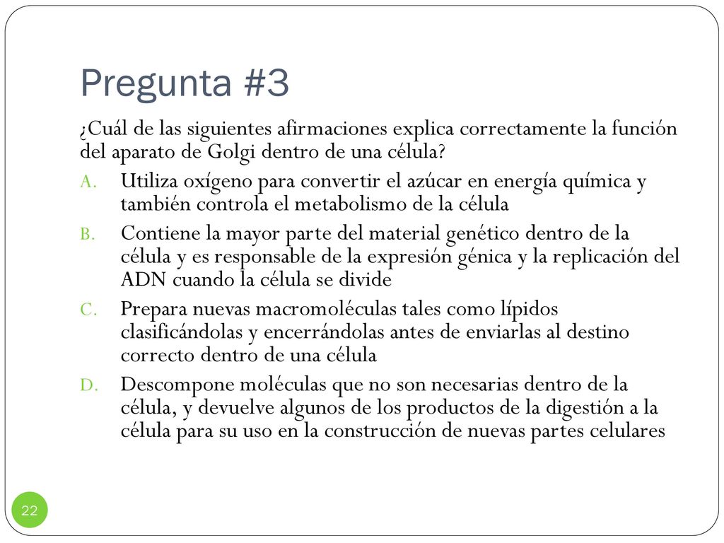 Pregunta #3 ¿Cuál de las siguientes afirmaciones explica correctamente la función del aparato de Golgi dentro de una célula