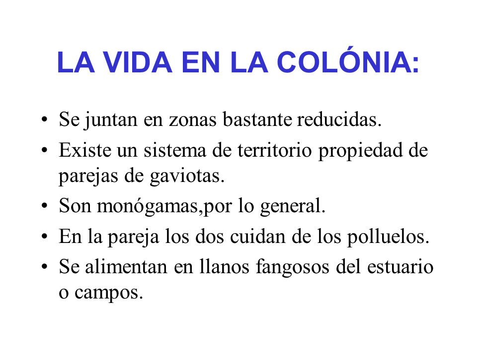 Se juntan en zonas bastante reducidas.