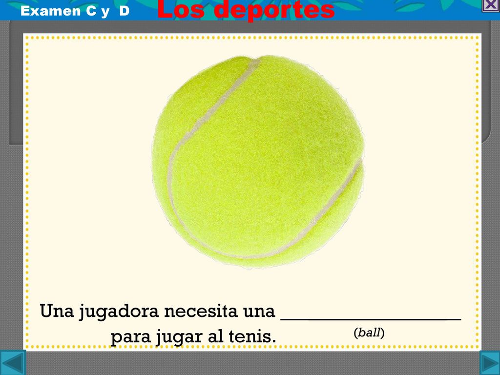 Una jugadora necesita una __ _ para jugar al tenis. (ball)