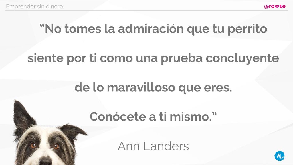 Emprender sin No tomes la admiración que tu perrito siente por ti como una prueba concluyente de lo maravilloso que eres.
