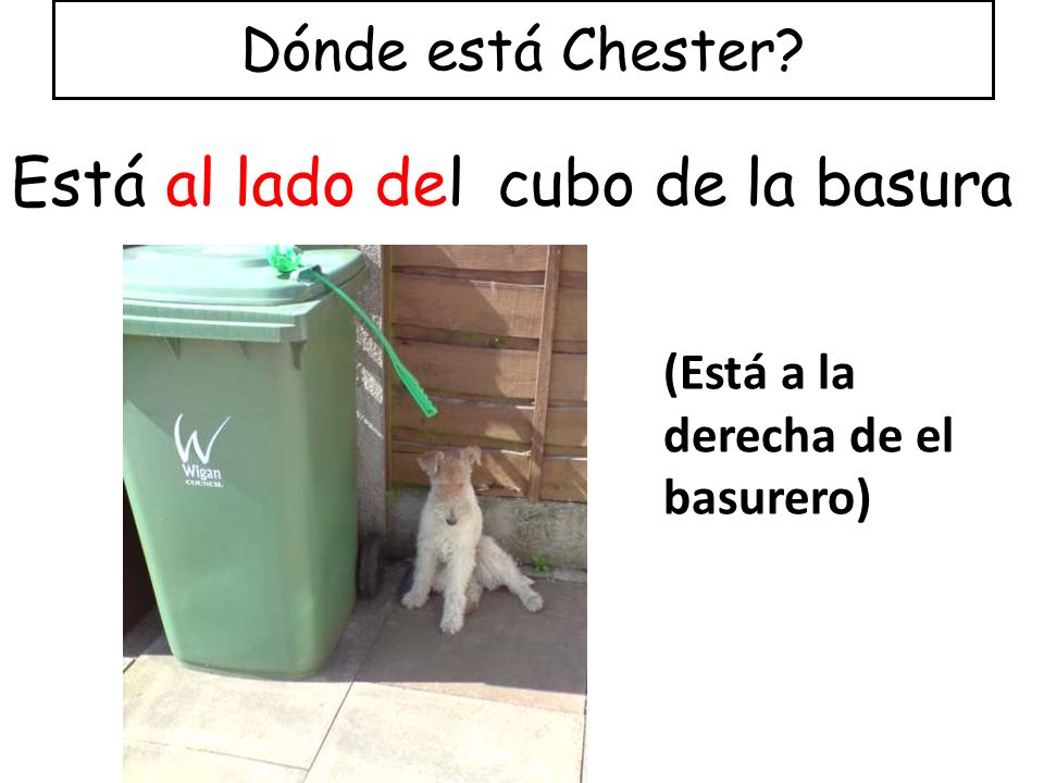 Está al lado del cubo de la basura Dónde está Chester