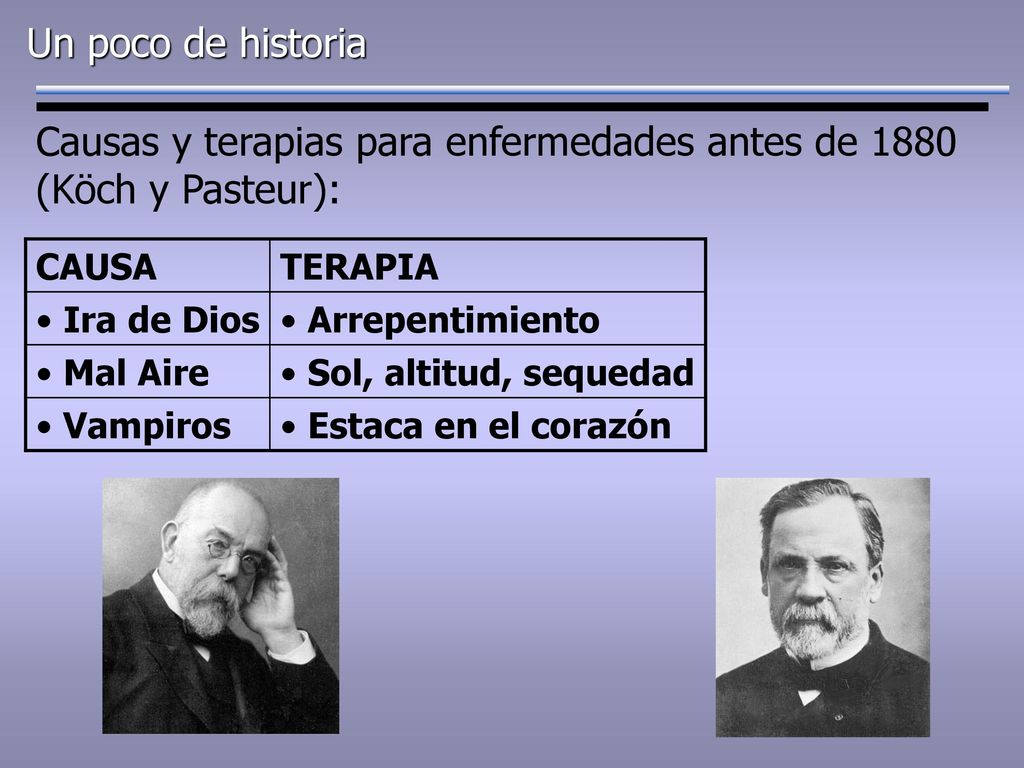 Causas y terapias para enfermedades antes de 1880 (Köch y Pasteur):