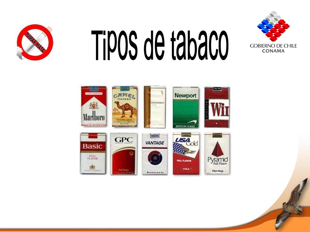 Tipos de tabaco Tipos de tabaco Tipos de tabaco