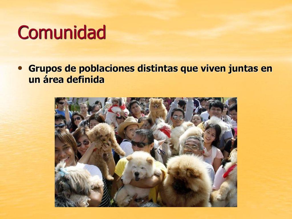 Comunidad Grupos de poblaciones distintas que viven juntas en un área definida