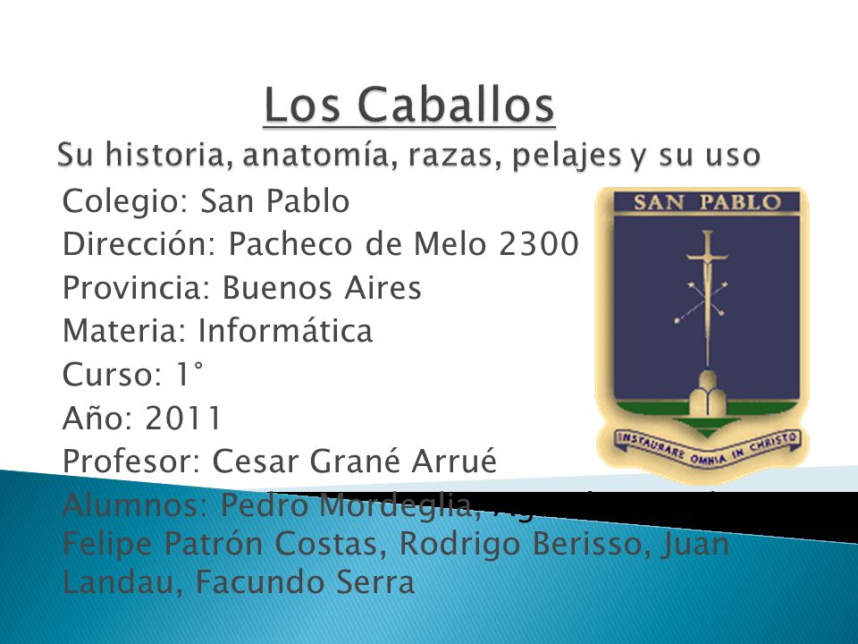 Los Caballos Su historia, anatomía, razas, pelajes y su uso
