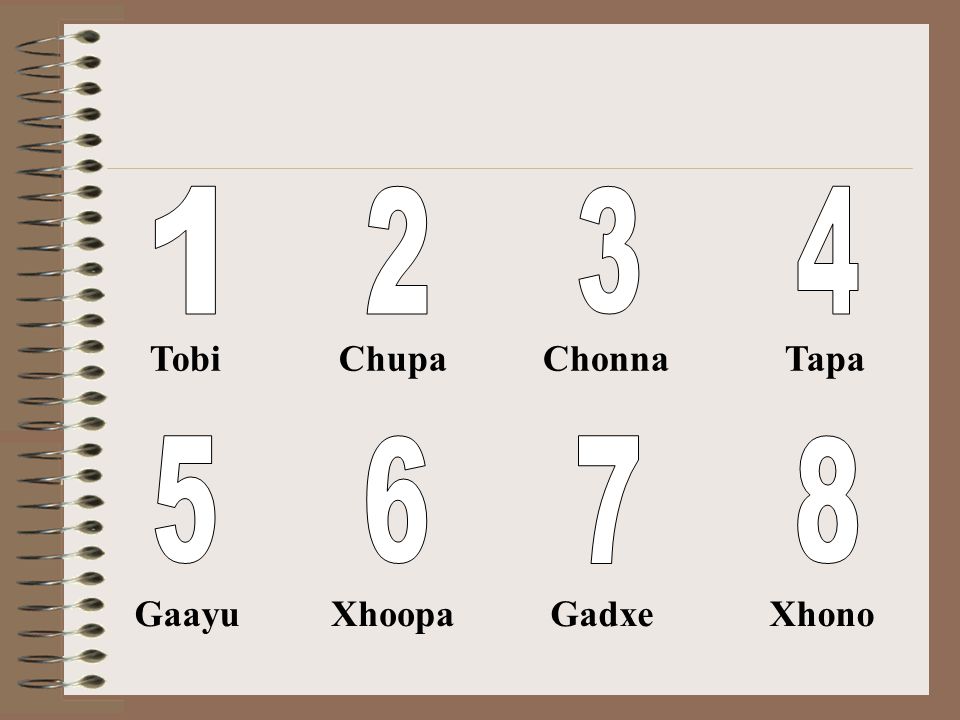 1 Tobi 2 Chupa 3 Chonna 4 Tapa 5 Gaayu 6 Xhoopa 7 Gadxe 8 Xhono