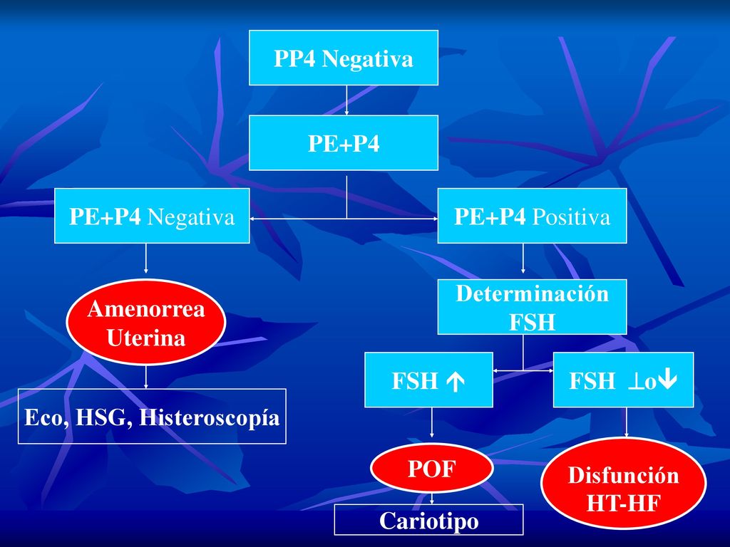 PP4 Negativa PE+P4. PE+P4 Negativa. PE+P4 Positiva. Amenorrea. Uterina. Determinación. FSH. FSH 