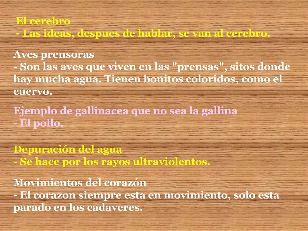 El cerebro - Las ideas, despues de hablar, se van al cerebro.