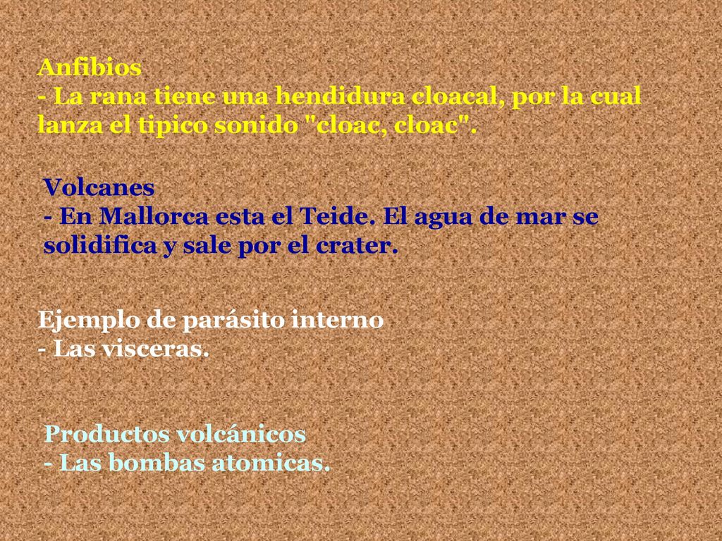 Anfibios - La rana tiene una hendidura cloacal, por la cual lanza el tipico sonido cloac, cloac .