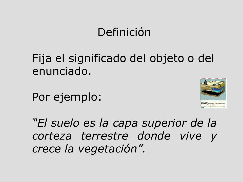 Definición Fija el significado del objeto o del enunciado. Por ejemplo: