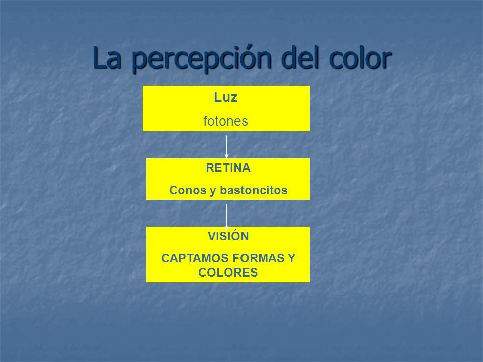 La percepción del color