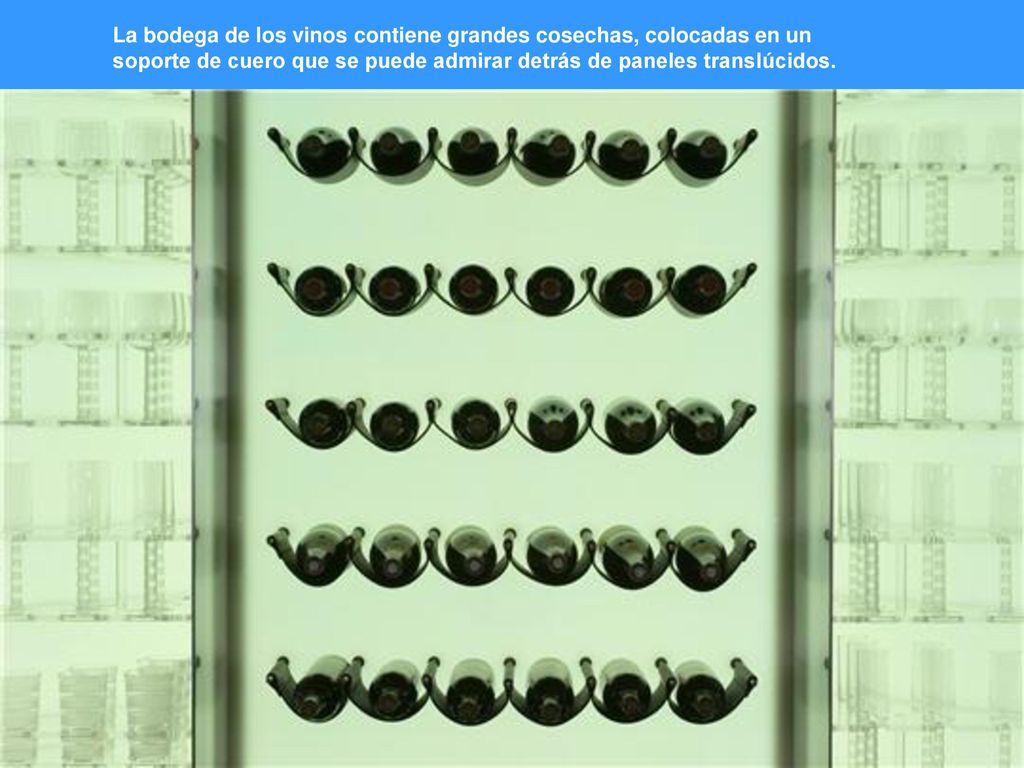 La bodega de los vinos contiene grandes cosechas, colocadas en un soporte de cuero que se puede admirar detrás de paneles translúcidos.