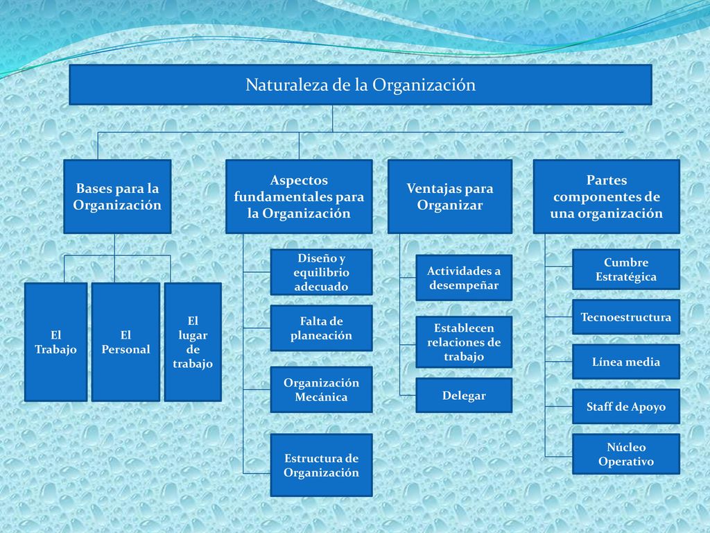 Universidad Centroamericana UCA Facultad de Ciencias Económicas y Empresariales  Carrera: Administración de Empresas Trabajo de Organización. - ppt descargar