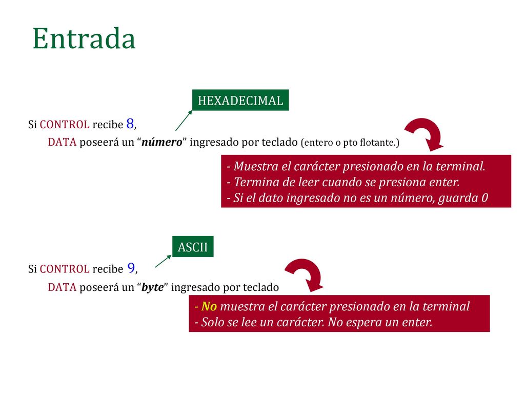 Entrada HEXADECIMAL - Muestra el carácter presionado en la terminal.